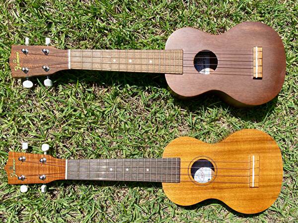 FAMOUZ - FAMOUS UKULELE FS-5G ウクレレの+inforsante.fr